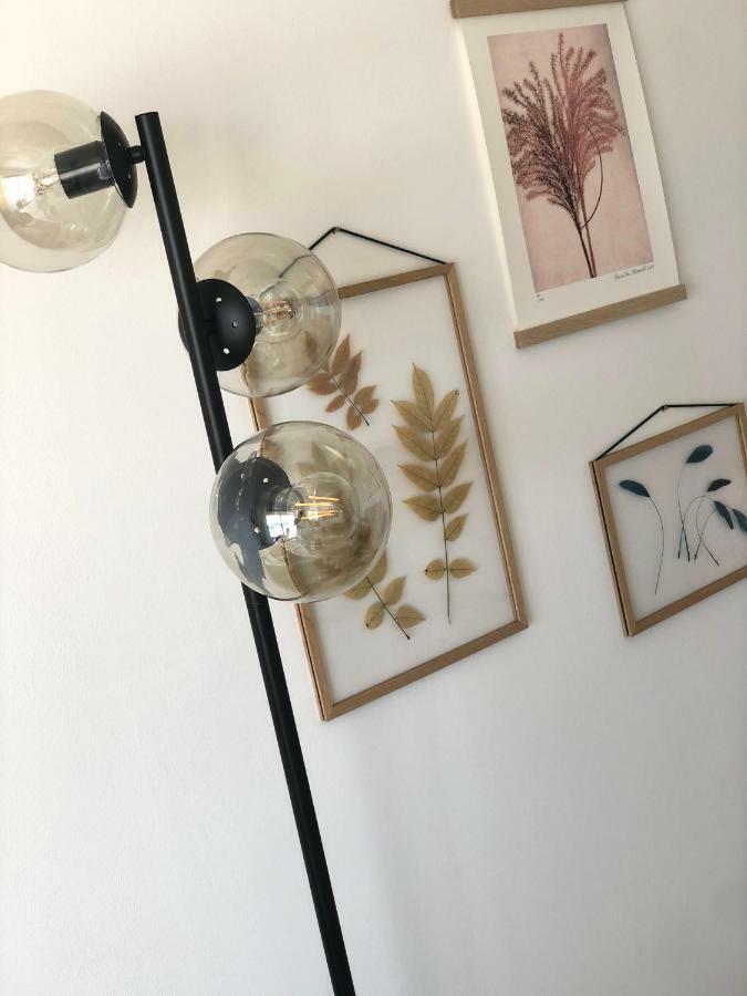 Jacaranda II Appartement Mandelieu Kültér fotó